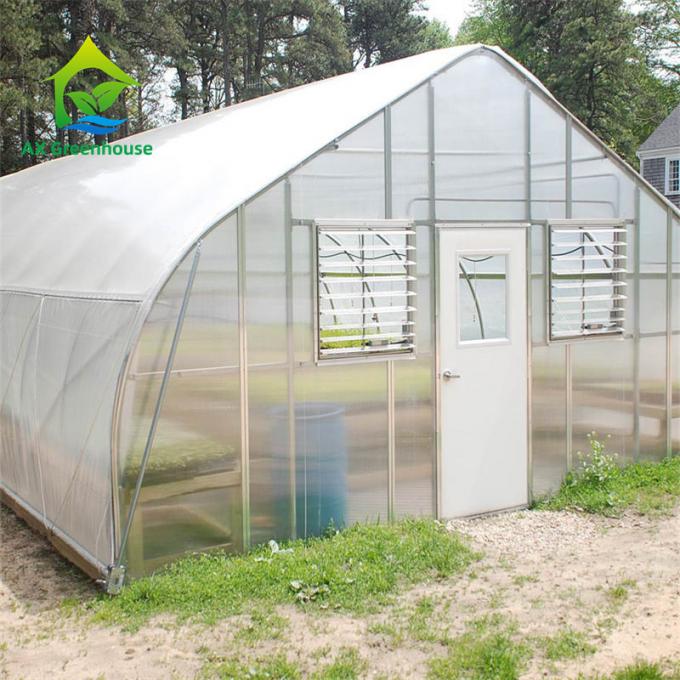 latest company news about How To Make Profits From Greenhouses 1