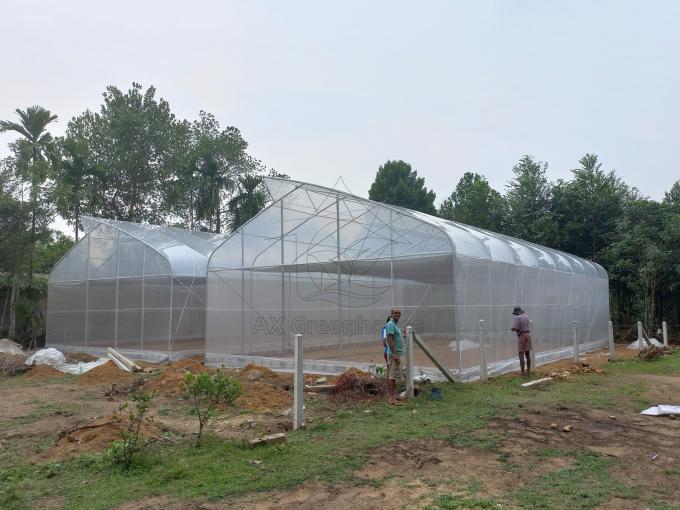 latest company news about Local Climate Environmental Conditions That Cannot Be Ignored During Greenhouse Construction 0