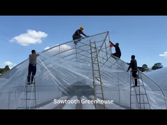 Installing Plastic Film In Sawtooth Greenhouses