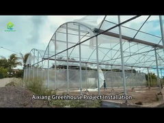 Installation of Aixiang's Multi span Greenhouse Project in Mauritius