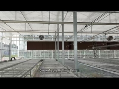 Mesh Wire Greenhouse Grow Table Rolling Bench For Seeding