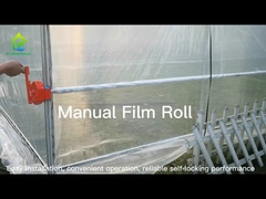 Use And Introduction Of Greenhouse Film Roll