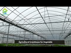 Poly Tunnel Plastic Film Greenhouse for Vegetables