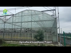 Agricultural Tempered Glass House Vegetable Growing Multi-span Gothic Greenhouse