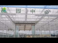 Commercial Tempered Glass Venlo Type Greenhouse Multispan For Agricultural