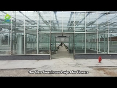 High Transmittance Seedling Agricultural Glass Greenhouse Project