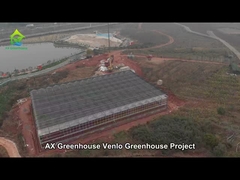 Our Venlo Glass Greenhouse Project
