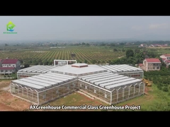 Large Tunnel Commercial Glass Greenhouse Project