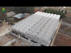 Commercial Agricultural Glass House Venlo Top Ventilation Multi-span Greenhouse