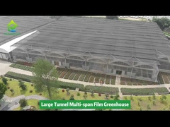 Commercial Multi-span Large Film Greenhouse Project
