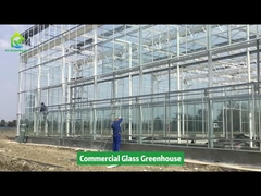 AX Greenhouse Project--Commercial Glass Greenhouse