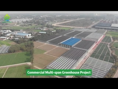 Poly Plastic Film Tunnel Multi-span Agricultural Vegetable Growing Greenhouse