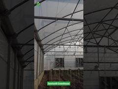 Sawtooth Design Tropical Plastic Film Greenhouse