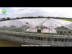 Cleaning Venlo Glass Greenhouse