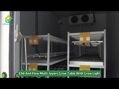 Multi-layers Ebb and Flood Grow Table Rolling Bench Grow Racks With Light
