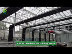 Agricultural Tunnel Fully Automated Light Deprivation Greenhouse Single span Blackout Greenhouse