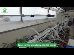 Strawberry Planting Trough