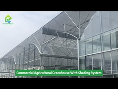 Commercial Agricultural Custom Size Glass Greenhouse Vegetable / Flower Use