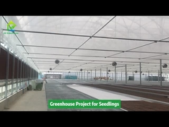 Poly Tunnel Greenhouse Project for Seedling