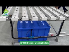Vertical Farming Soilless Cultivation Hydroponic NFT Square Pipe SystemSystem