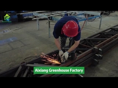 Our Greenhouse Factory In China