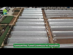 Single-Span Sawtooth Tropical Plastic Film Greenhouse