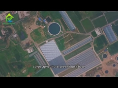 Large agricultural greenhouse planting base