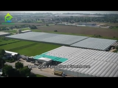 Fully intelligent glass greenhouse for growing tomatoes and peppers