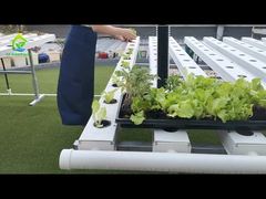 Hydroponic NFT Growing System