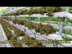 NFT hydroponic soilless cultivation A-Shaped multi-layer PVC nutrient solution vegetable planting