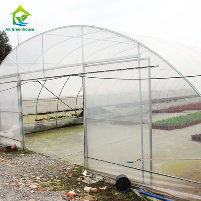 Polycarbonate Poly Tunnel Greenhouse Edible Mushroom Industrial Hemp Greenhouse