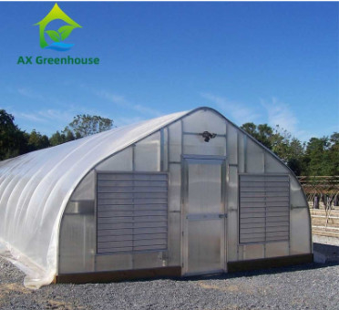 Plants Cultivation Single Span Polycarbonate PC Sheet Greenhouse with Stable Structure and Easy Assembly