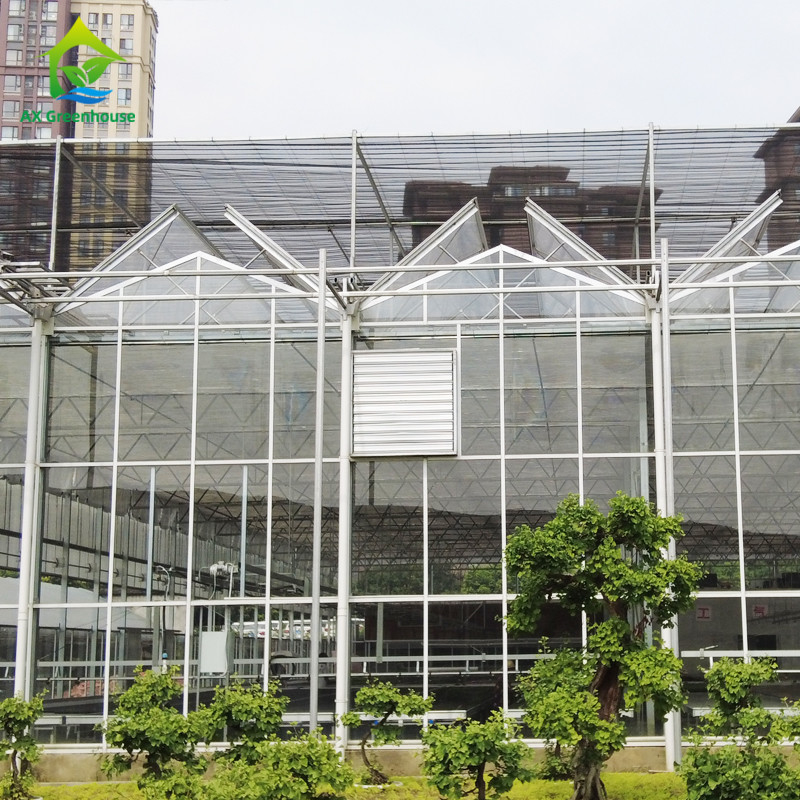 Hot Dipped Galvanized Steel Structure Triangle Roof Molding 30*20m Commercial Customized Automatic Glasshouse Venlo Glass Greenhouse