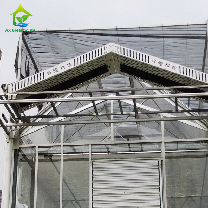 Hot Dipped Galvanized Steel Structure Triangle Roof Molding 30*20m Commercial Customized Automatic Glasshouse Venlo Glass Greenhouse