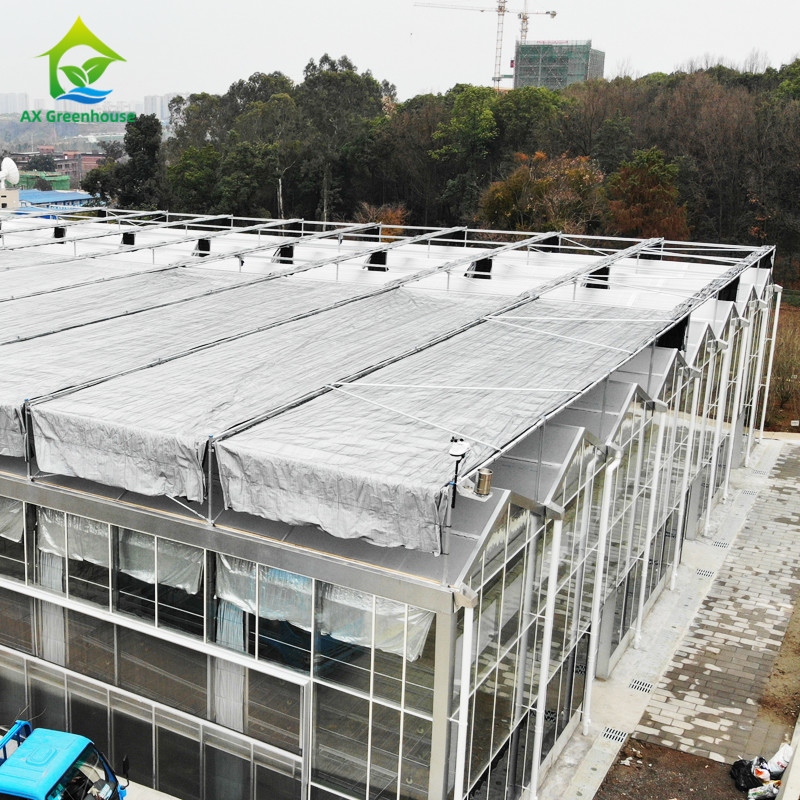 Intelligent Control System Durable Greenhouse For Vegetables 9.6m/10.8m/12m Width