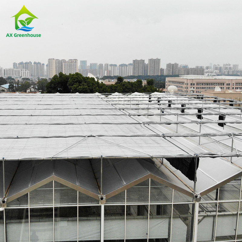 Hot Dipped Galvanized Steel Structure Triangle Roof Molding 30*20m Commercial Customized Automatic Glasshouse Venlo Glass Greenhouse