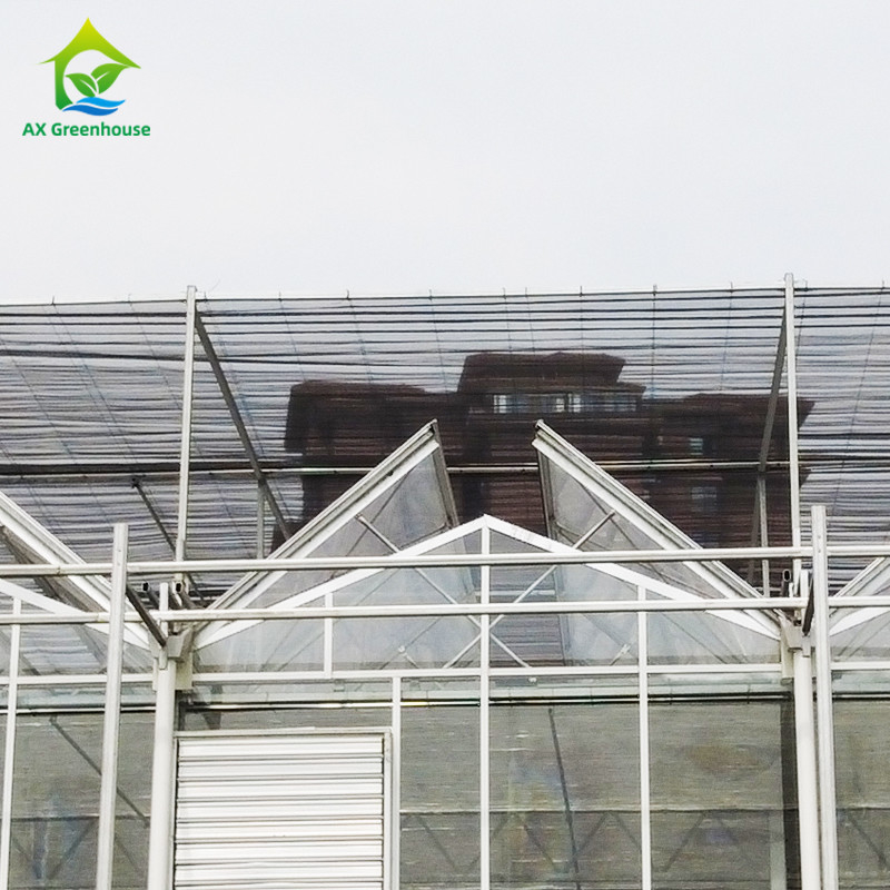 9.6m/10.8m/12m Width Aluminum Alloy Frame Agricultural Glass Venlo Multi-span Greenhouse With Triangle Roof Molding