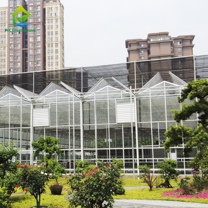 9.6m/10.8m/12m Width Aluminum Alloy Frame Agricultural Glass Venlo Multi-span Greenhouse With Triangle Roof Molding