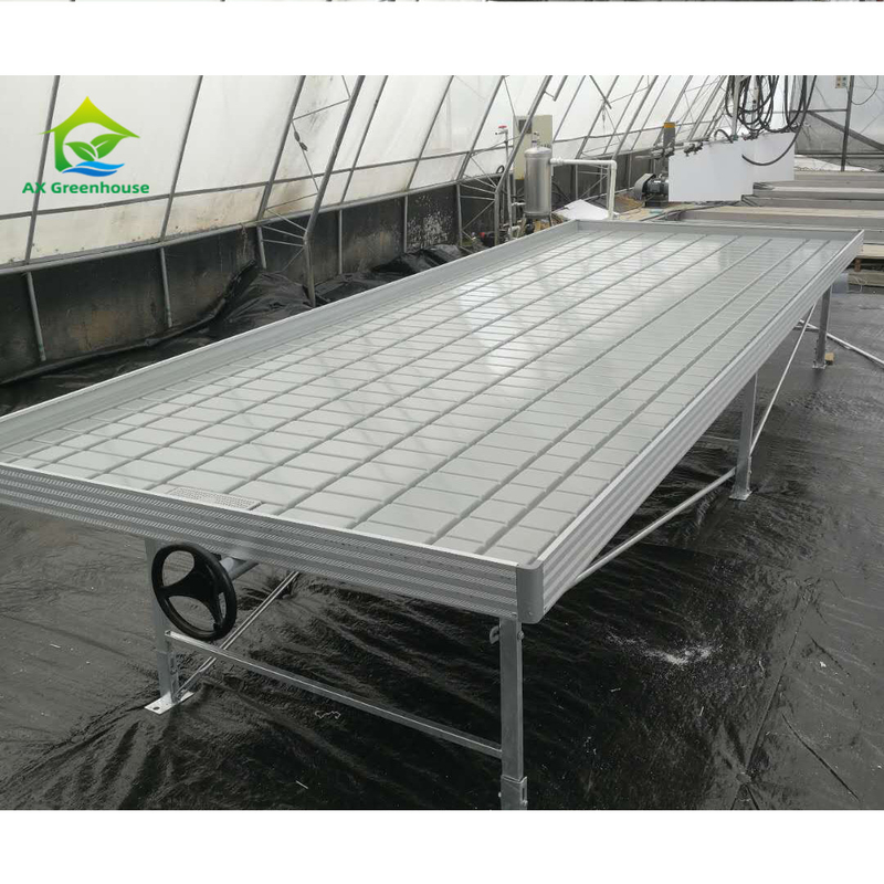 Soilless Culture Greenhouse Indoor Custom Ebb Grow Table Rolling Bench For Seed