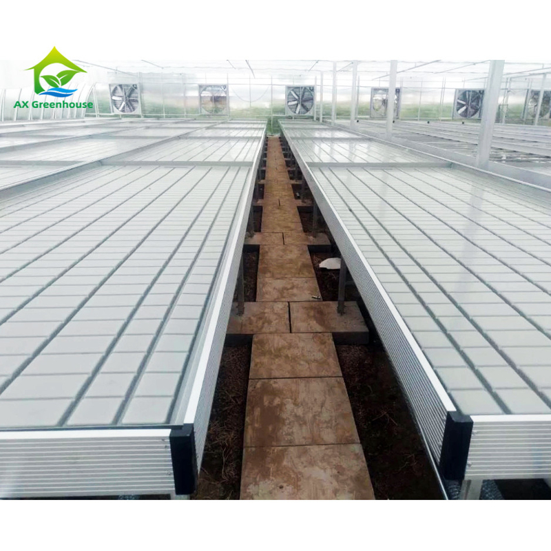 Soilless Culture Greenhouse Indoor Custom Ebb Grow Table Rolling Bench For Seed