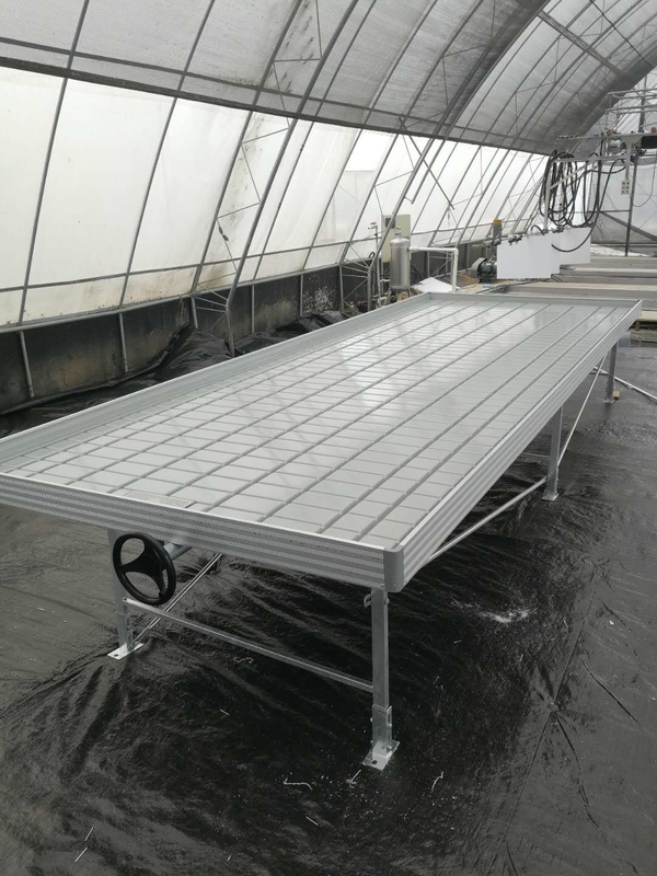 Greenhouse Ebb Flow Seedling Rolling Bench Grow Tables For Growing Various Plant Types