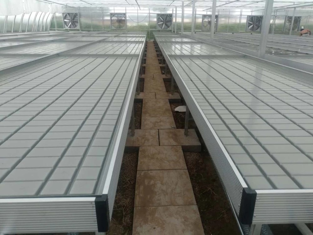 Grow Table Flood Tray Rolling Ebb And Flow Bench For Flower Greenhouse Seedling