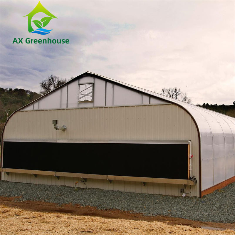 OEM 100% Dark Out Blackout Greenhouse with Hot Dip Galvanized Steel Structure and Customizable Size