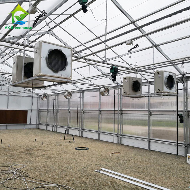 PE Film 220V Auto Light Deprivation Greenhouse 100% Blackout High Tunnel Greenhouse for planting Mariguana
