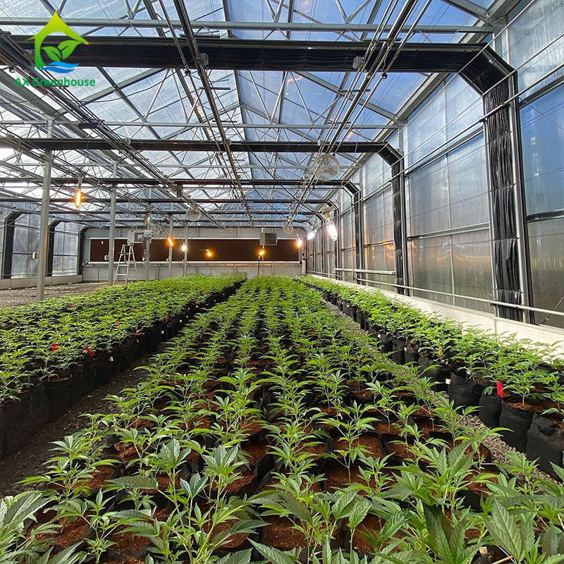 PE Film 220V Auto Light Deprivation Greenhouse 100% Blackout High Tunnel Greenhouse for planting Mariguana