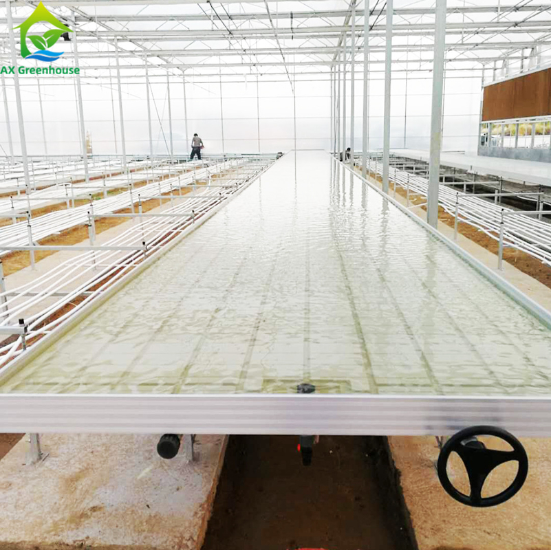 Ebb Flow Hydroponic Mobile Hydroponic Soilless Culture Grow Tables Rolling Bench For Seedling
