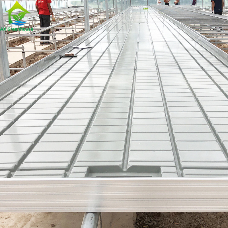 Greenhouse Ebb Flow Seedling Rolling Bench Grow Tables For Growing Various Plant Types