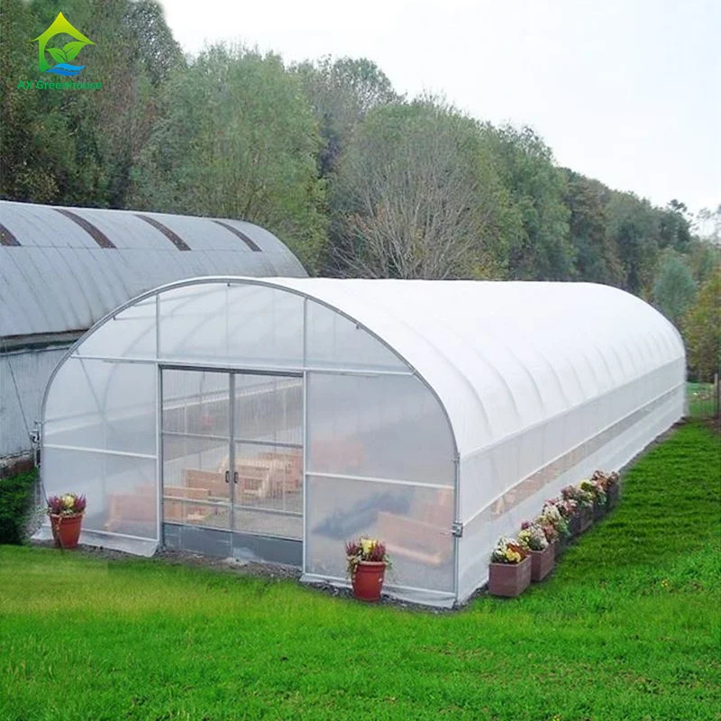 High Strength Easy Installation Poly Tunnel Greenhouse Insect Prevention Increase Production