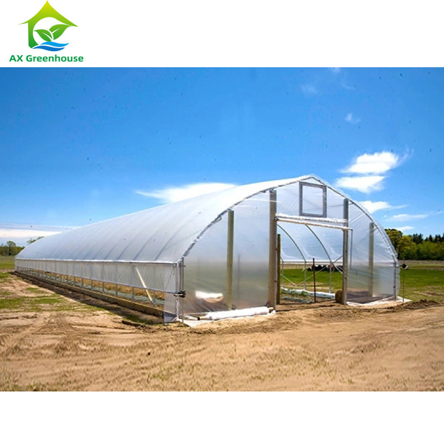 High Strength Easy Installation Poly Tunnel Greenhouse Insect Prevention Increase Production