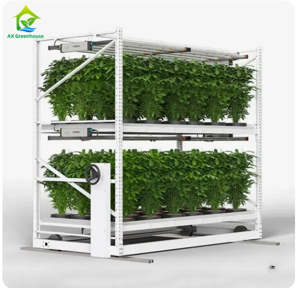 Customized Indoor Double Layers Vegetable Medical Herb Grow Rack for Vertical Farming